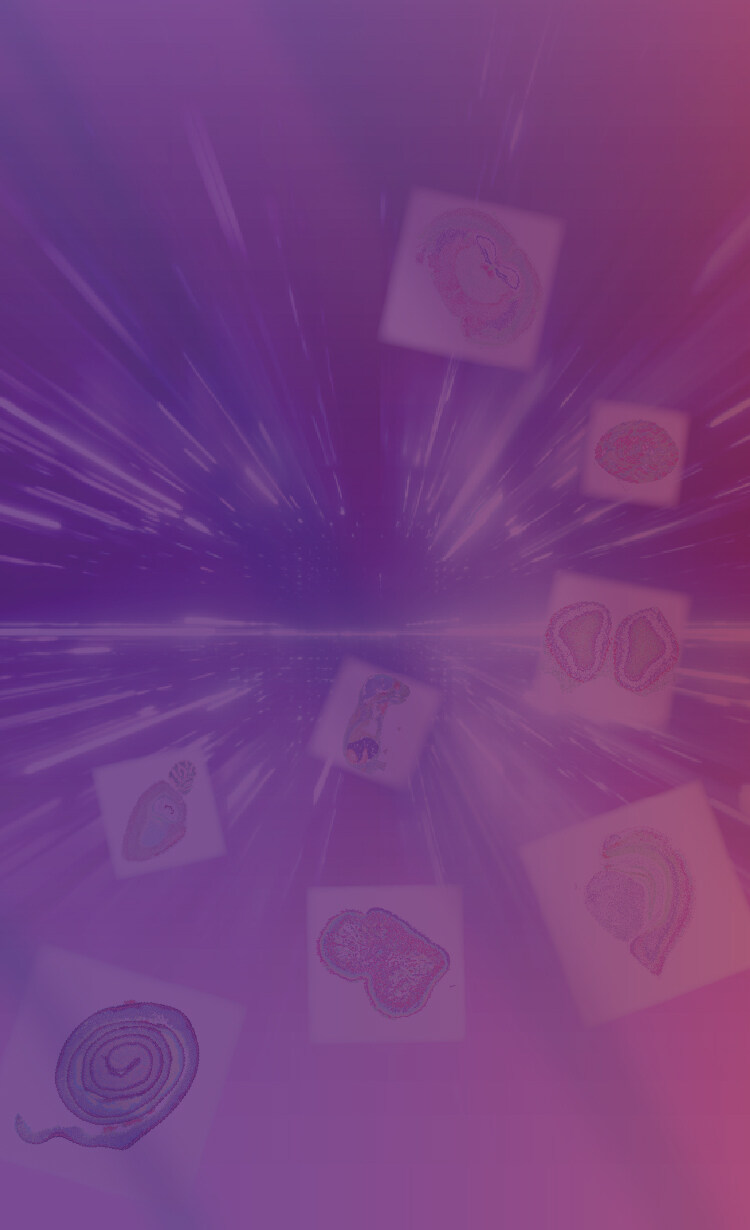 Spatial Omics Grant Program Launch!